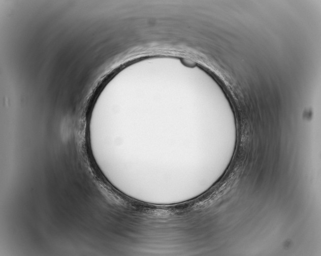 X0000103461507200810031446