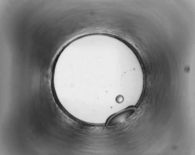 X0000103461508200810031446