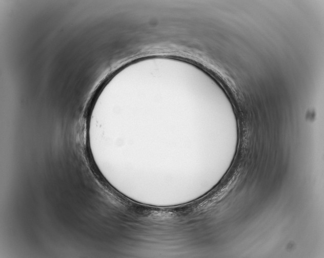 X0000103461509200810031446