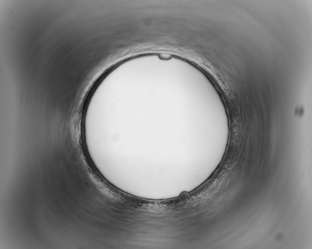 X0000103461511200810031446