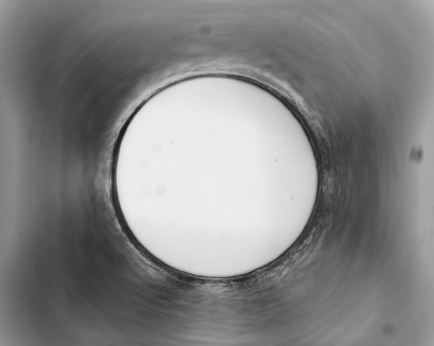 X0000103461512200810031446