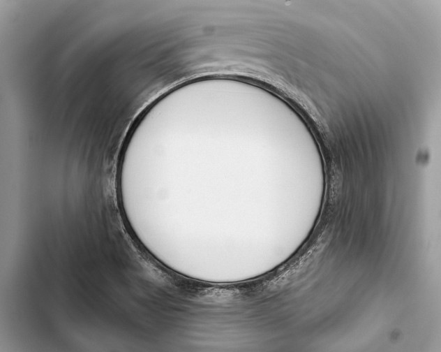 X0000103461513200810031446