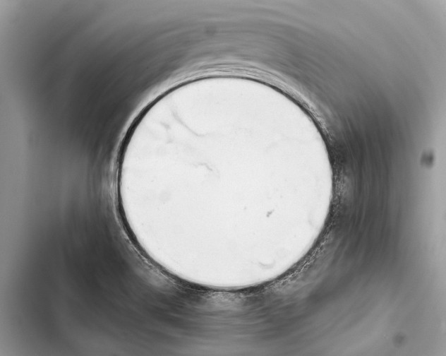 X0000103461514200810031446