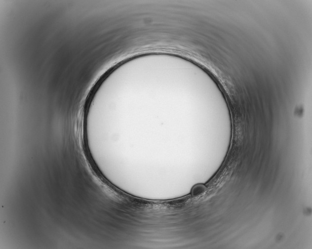 X0000103461515200810031446