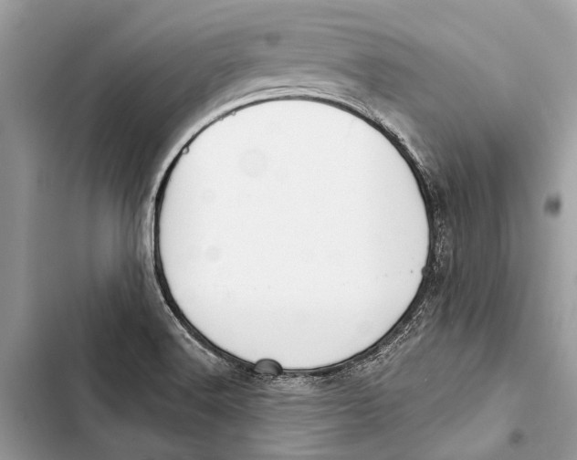 X0000103461516200810031446