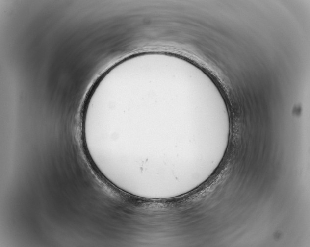 X0000103461517200810031447