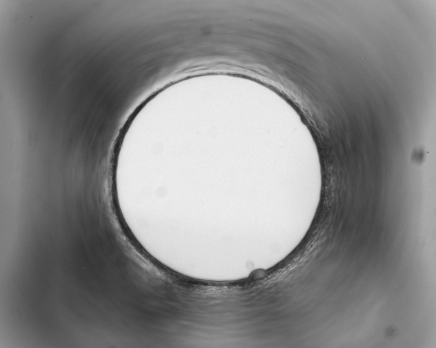 X0000103461518200810031447