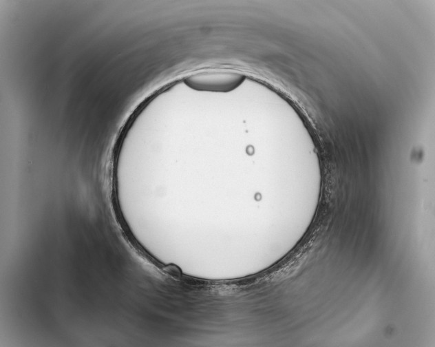 X0000103461519200810031447