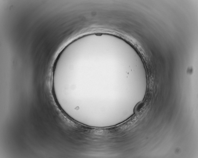 X0000103461520200810031447