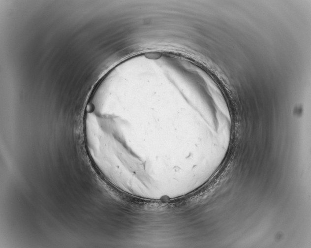 X0000103461521200810031447