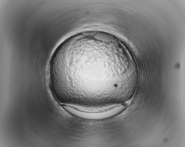 X0000103461522200810031447