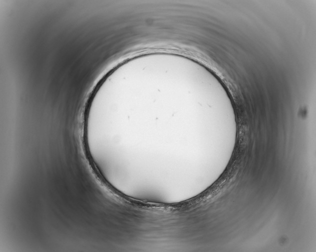 X0000103461523200810031447