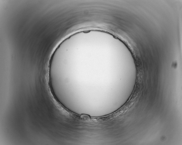 X0000103461524200810031447