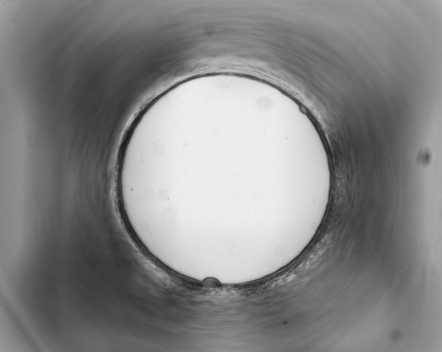 X0000103461525200810031447