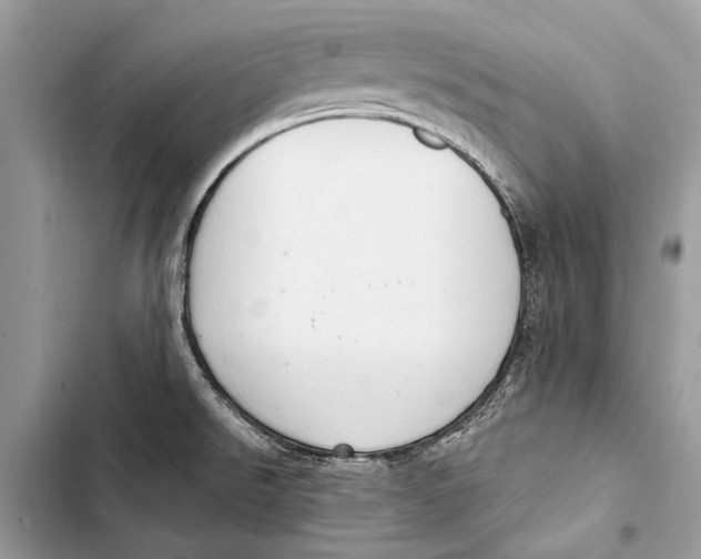 X0000103461526200810031447