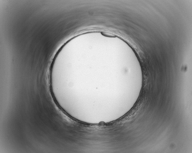 X0000103461527200810031447