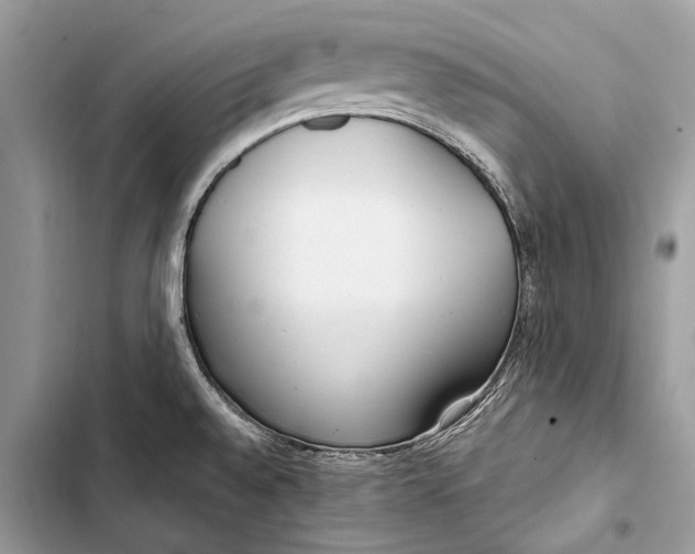 X0000103461528200810031447