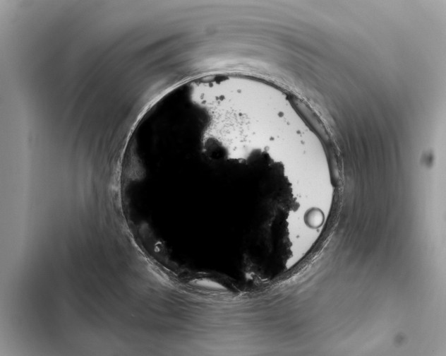 X0000103461529200810031447