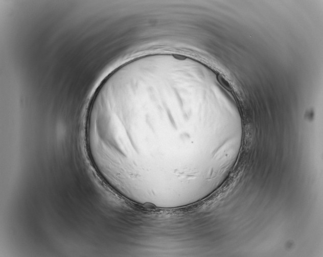 X0000103461530200810031447