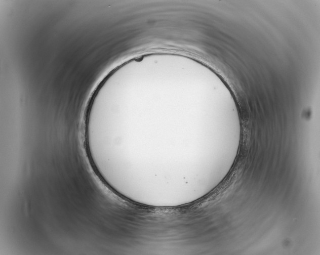 X0000103461531200810031447