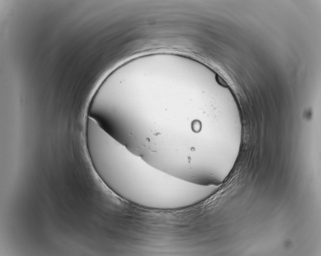 X0000103461532200810031447