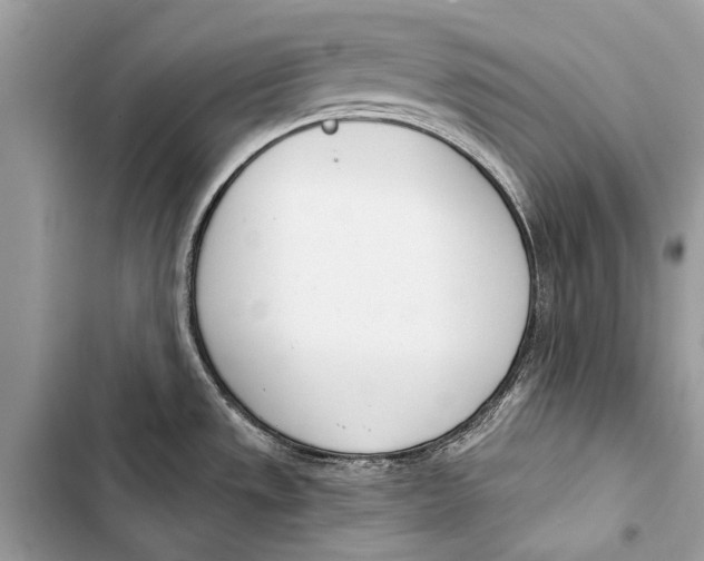 X0000103461533200810031447