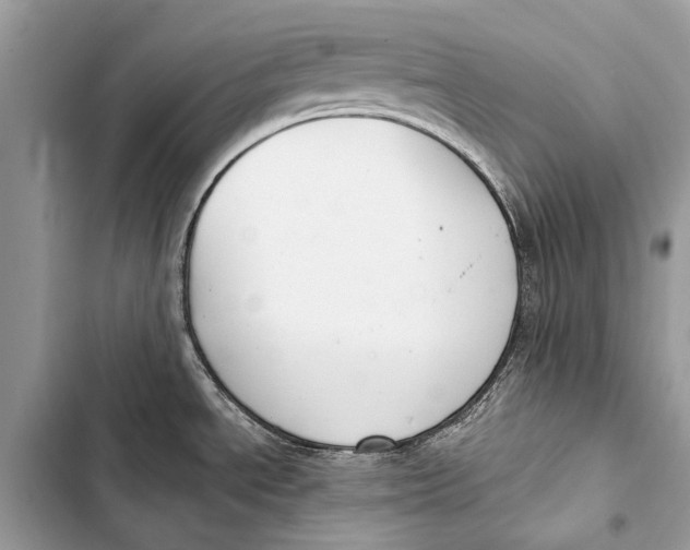 X0000103461534200810031447