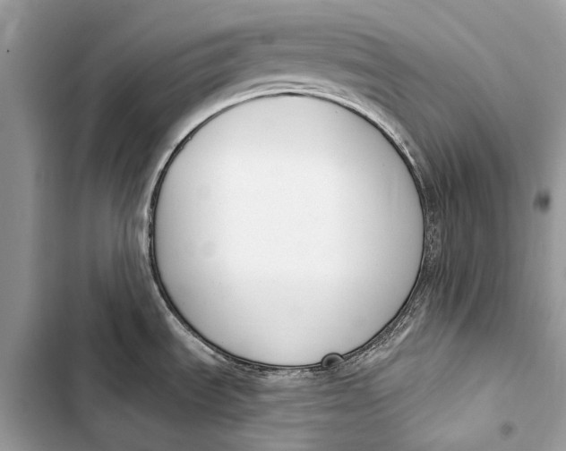 X0000103461535200810031447