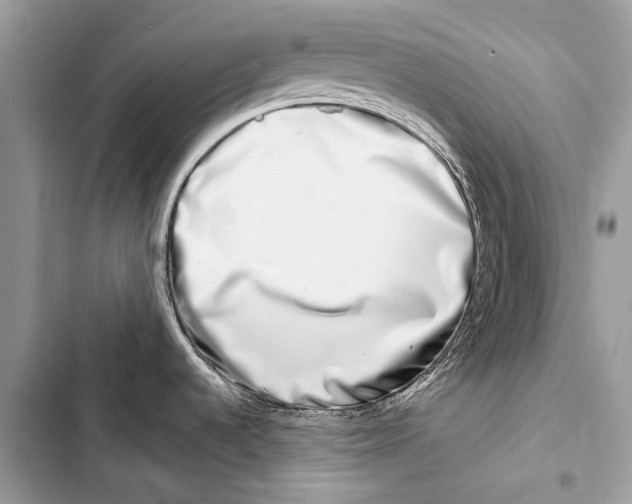 X0000103461536200810031447