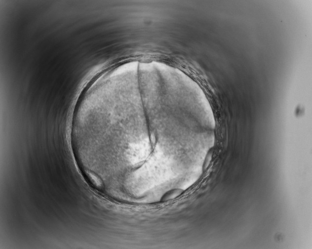 X0000103460003200810101201