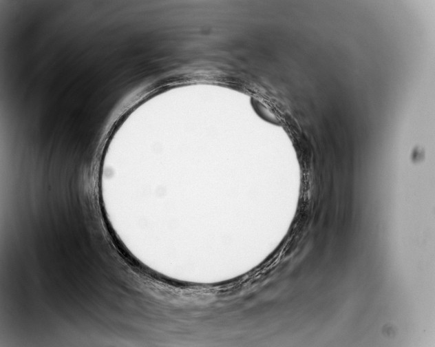 X0000103460004200810101201