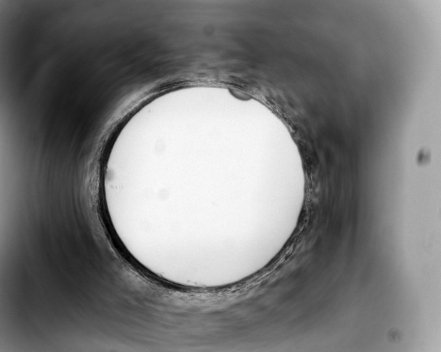 X0000103460005200810101201