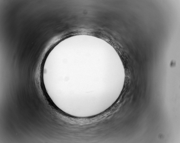 X0000103460006200810101201