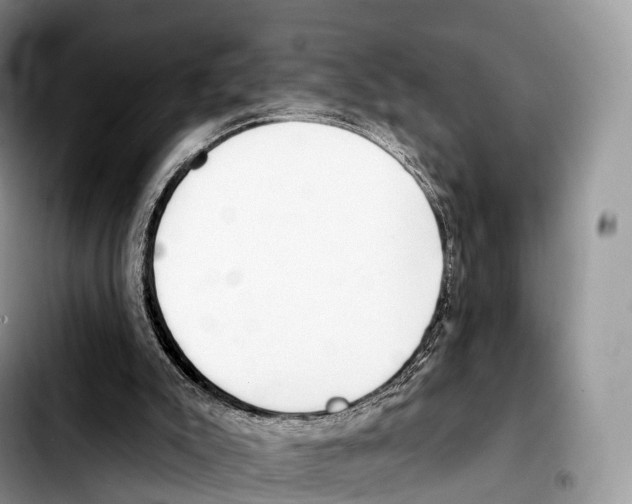 X0000103460007200810101201