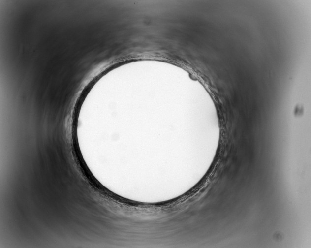 X0000103460008200810101201
