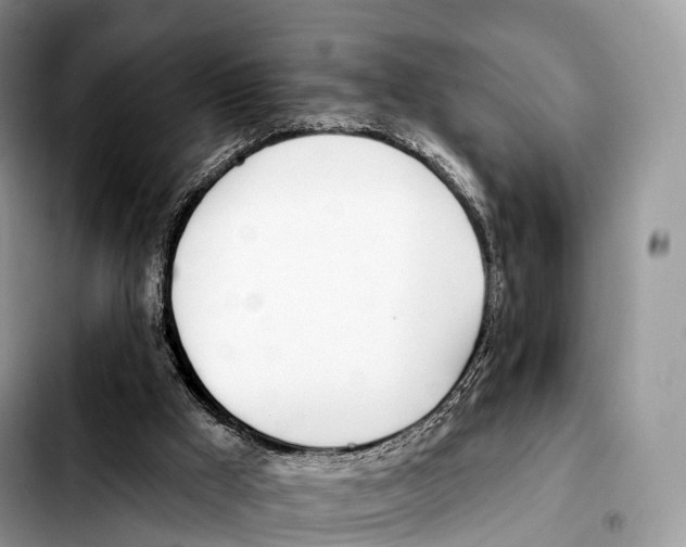 X0000103460009200810101201