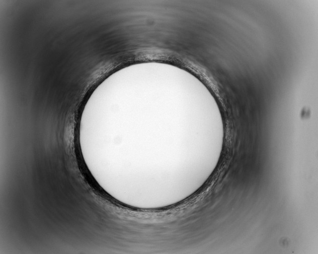 X0000103460010200810101201
