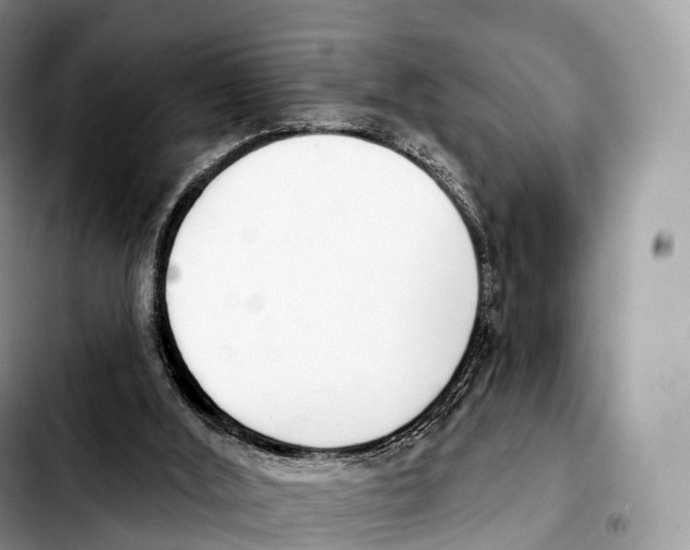 X0000103460012200810101201
