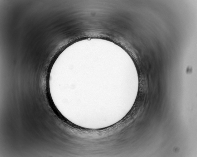 X0000103460015200810101201
