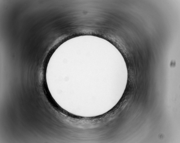 X0000103460016200810101201