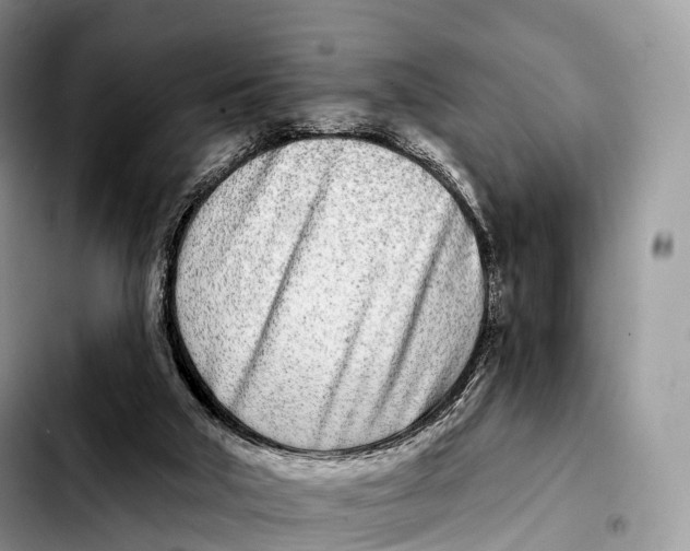 X0000103460018200810101201