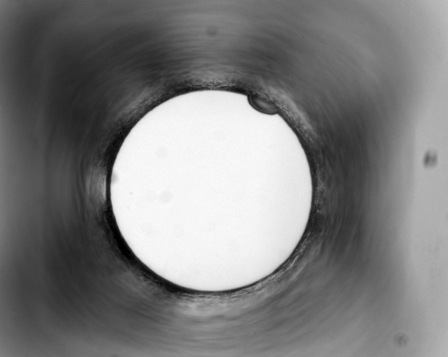 X0000103460021200810101201
