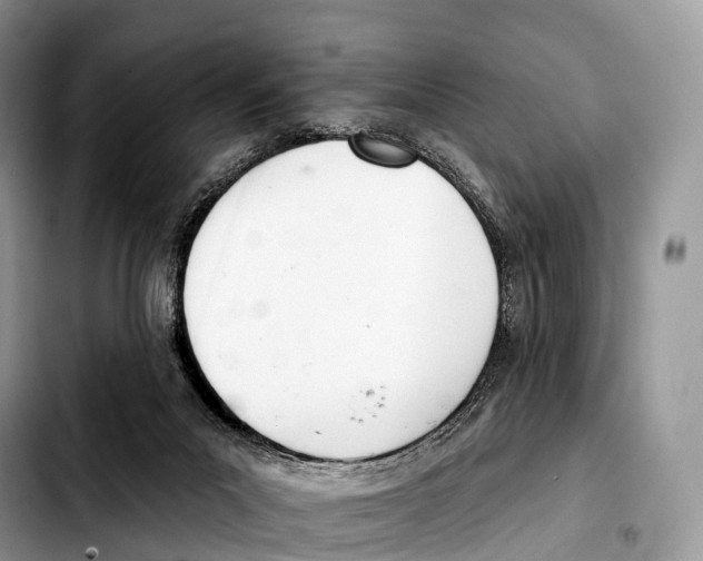 X0000103460023200810101201