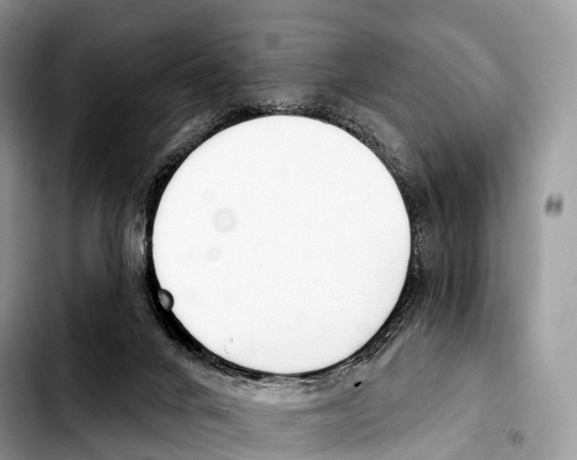 X0000103460024200810101201