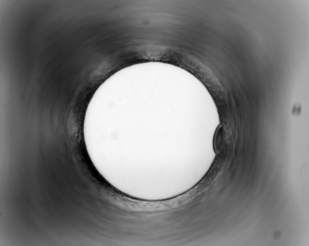 X0000103460031200810101200