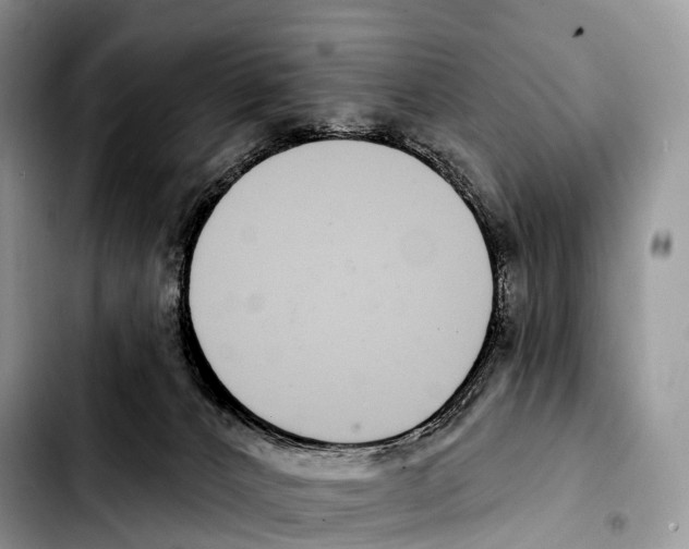 X0000103460032200810101200