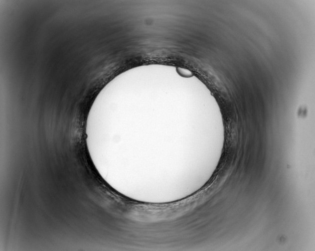 X0000103460033200810101200