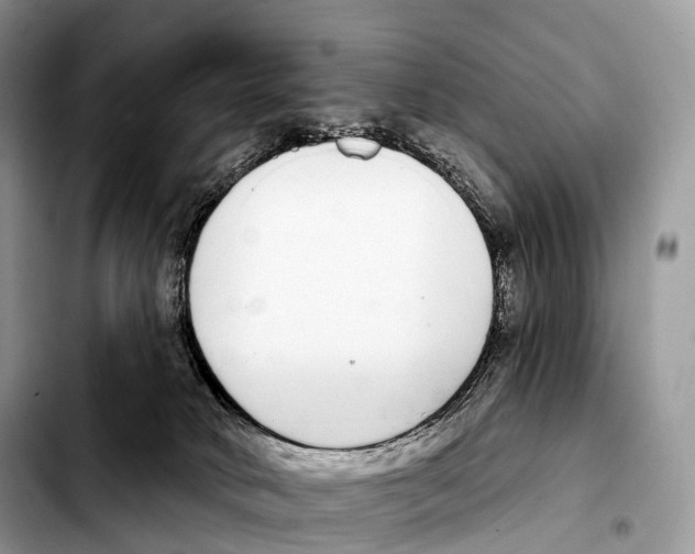X0000103460034200810101200
