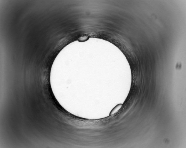 X0000103460036200810101200