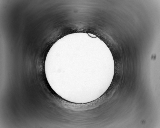 X0000103460039200810101200